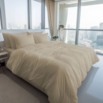 מצעי ג'רסי בז' בהיר